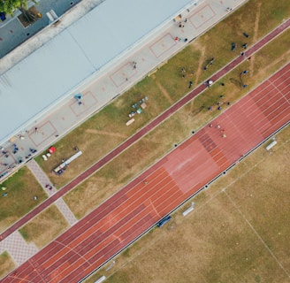 An aerial view of a sports complex featuring a running track and a grassy field. The tracks are red and situated next to a large building. There are several people scattered across the area, some on the track and others near the building. The surroundings include trees and geometric pathways, adding structure to the scene.